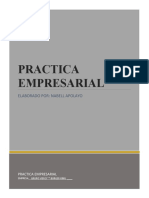 Practica Empresarial