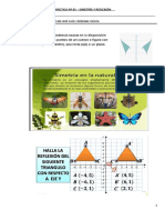 Práctica #05 - Simetría Y Reflexión