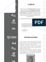 Certifica-Se Que Lorena Brancalião Completou Com Sucesso o Curso Design Na Economia