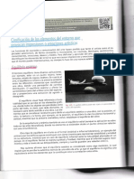 TF19 - S02 - Le02. Clasificación de Los Elementos Del Entorno Que Provocan Impresiones o Emociones Artísticas.