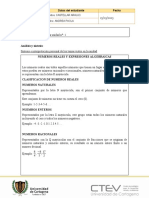 Plantilla Protocolo Individual Unidad 1 - Matematicas I