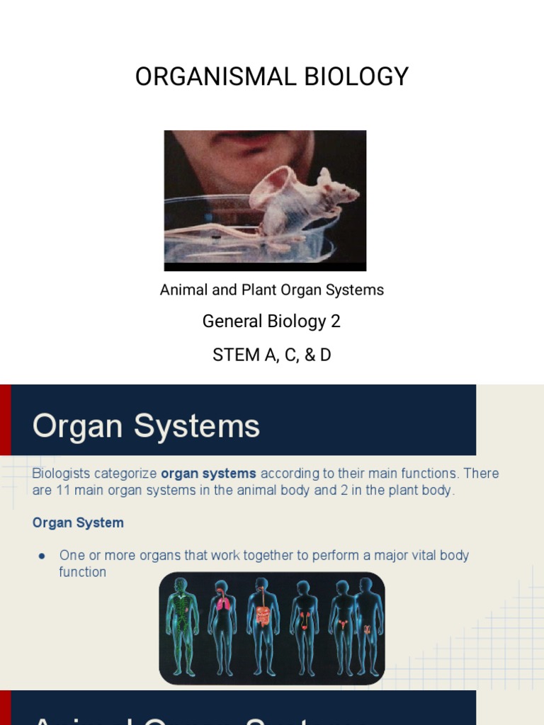 ORGANISMAL BIOLOGYPlants and Animals | PDF | Human Body | Lymph