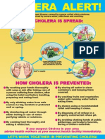 Cholera Alert - BLUE - A4 Flyer 07-01-09