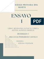 ENSAYO 1-Neuropsicológica Clínica INTERNADO III ERIKA MORAN OK