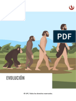 Evolución