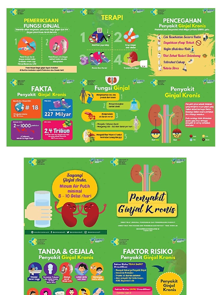 penyakit ginjal kronis.leaflet | PDF