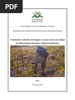 Reflorestamento de Mangal em Icidua