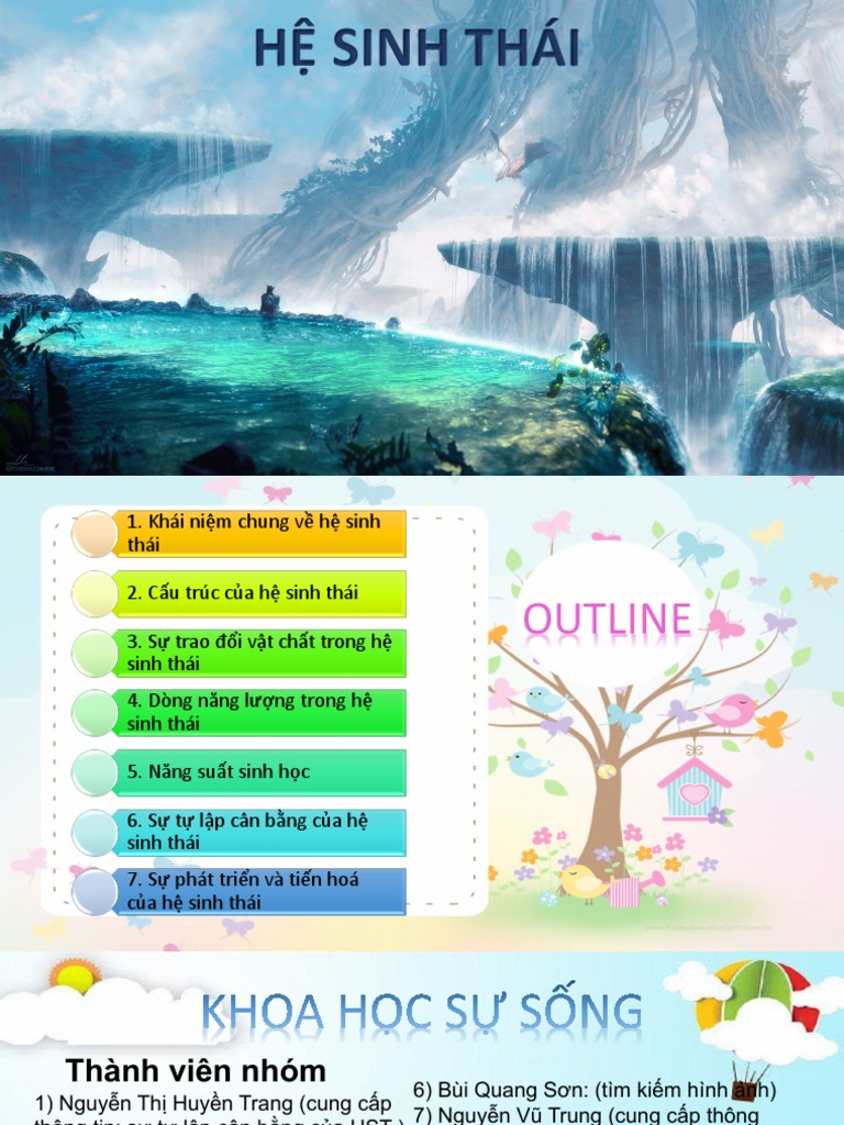 Hệ Sinh Thái | PDF
