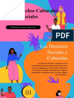 Derechos Culturales Y Sociales: Presentado Por: Antonio, Bryan e Isaac