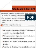 Reproductive System Guide