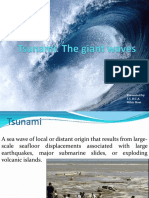 Understanding Tsunamis: Causes, Impacts and Mitigation