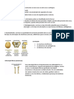 As articulações: conexões entre ossos