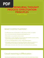 EFFECTUATION PRINCIPLES