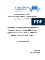 EEU ERP Project Management Roles Assessment