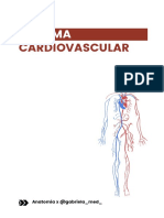 Sistema: Cardiovascular
