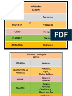 Criterios Clasificacion en Dominios