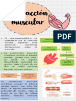 Infografia