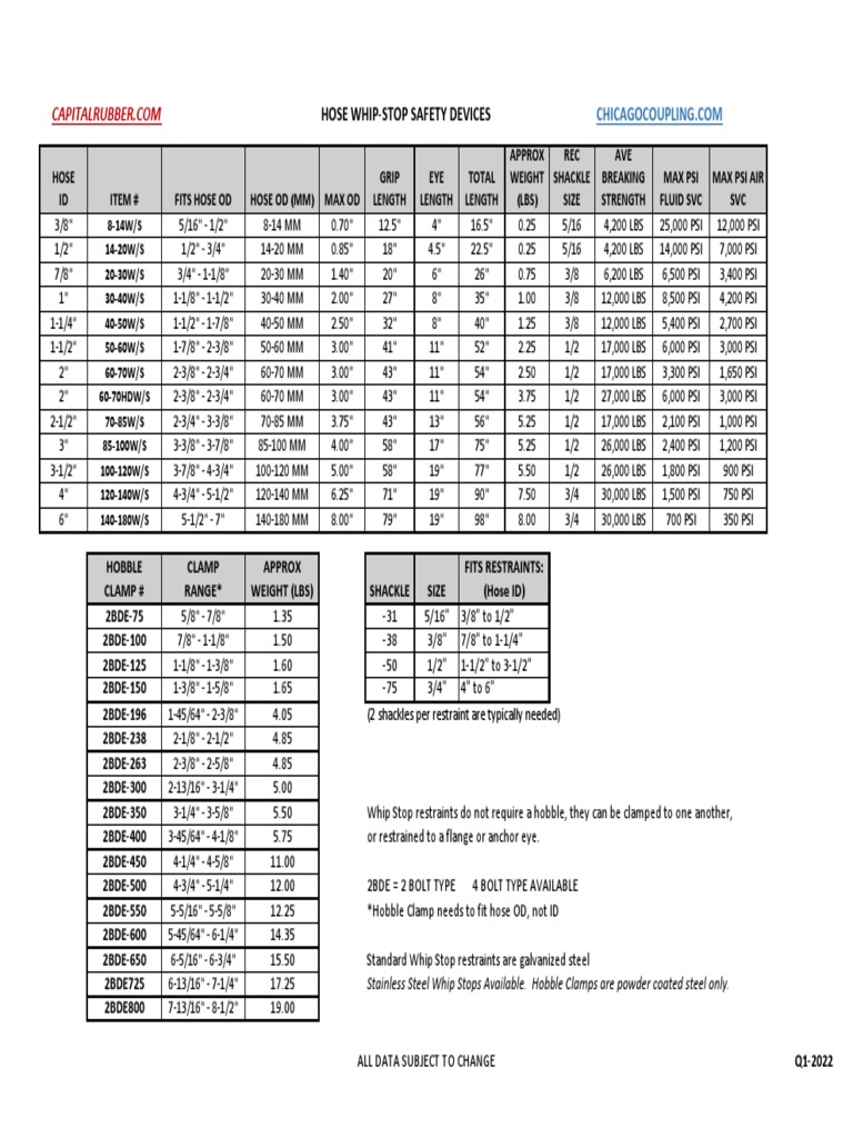 Whip Stop Data Sheet - REV2022 | PDF