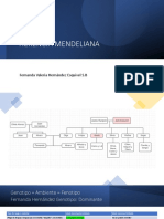 Herencia Mendeliana Fernanda HDZ