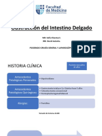 Obstruccion Intestino Delgado