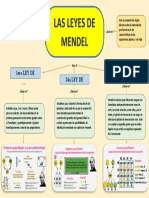 Las Leyes de Mendel