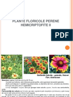 LP Hemicriptofite II p1