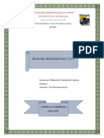 Travail Pratique de Cao: Republique Democratique Du Congo