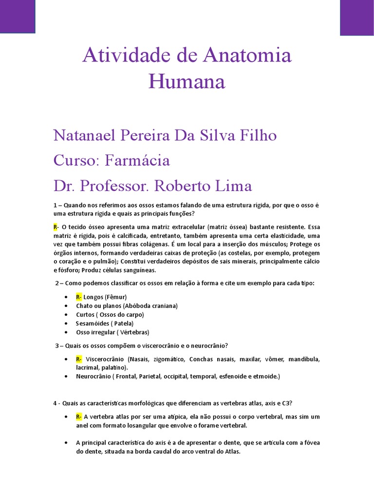 Atividade De Anatomia Humana Pdf Osso Músculo Esquelético