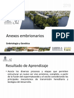 Anexos Embrionarios: Embriología y Genética