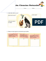 Evaluacion Ciencias 2°