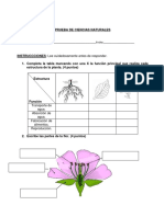 Prueba de Ciencias Naturales