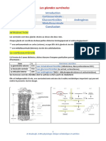 Conclusion: Les Glandes Surrénales