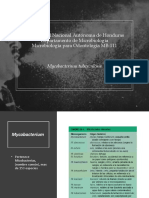 Mycobacterium Tuberculosis