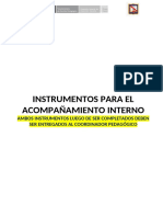 Instrumentos para El Acompañamiento Interno