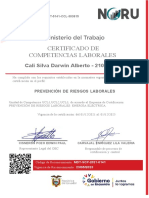 Certificado de Competencias Laborales: Cali Silva Darwin Alberto - 2100435987