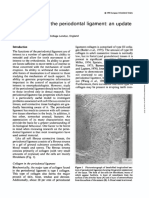 The Structure of the Periodontal Ligament an Update