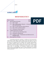 Bioenergetics