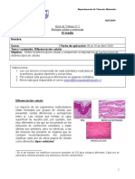 Guia de Actividades Biologia Tercero Medio