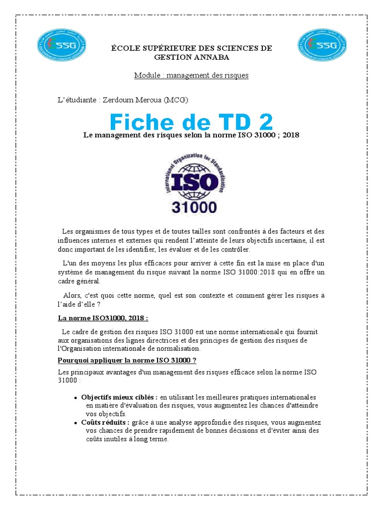 Management des Risques selon ISO 31000 | PDF | Affaires
