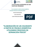 Proyecto de Taller-Protocolo