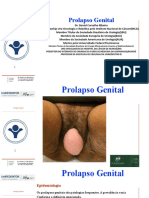 Prolapso genital: causas, sintomas e tratamentos