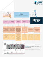 Mapa Conceptual ICDAS