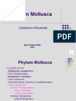 Phylum Mollusca: Cámbrico-Reciente