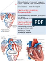 Sistema cardiovascular fechado de transporte sanguíneo