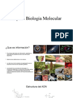 Repaso Biología Molecular