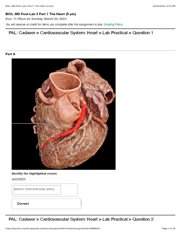 The Heart Anatomy And Physiology Pdf