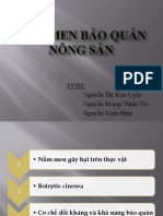 Nấm men bảo quản nông sản