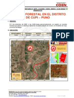 Reporte Complementario #10576 6dic2022 Incendio Forestal en El Distrito de Cupi Puno 1