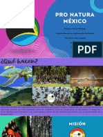 Pro Natura México