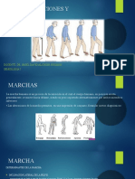 Marcha, Posiciones y Decubito